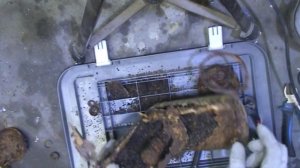 ЧТО ВНУТРИ ФИЛЬТРА ОТ ПРОТИВОГАЗА