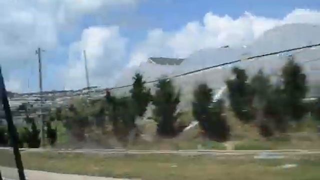 о цветке артишока смотреть онлайн