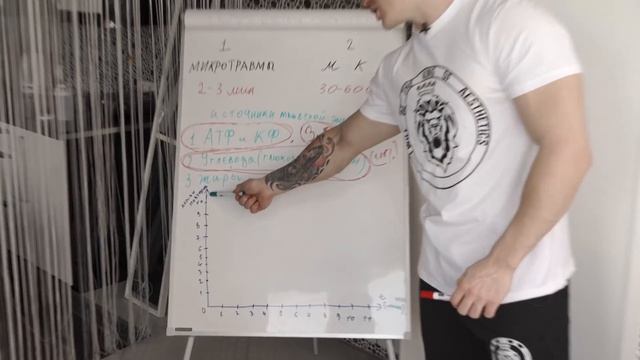 Лучшая программа для НАТУРАЛА! Как растут мышцы. Отдых между подходами. Разбор цикла от А до Я. смотреть онлайн