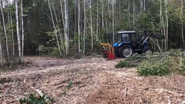 Мульчер Miniforst 200 на МТЗ 82. смотреть онлайн