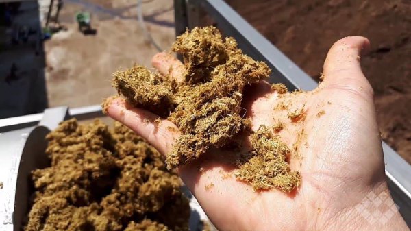 Получение подстилки для коров из навоза SEPCOM BEDDING / Bedding from cow manure on SEPCOM separator