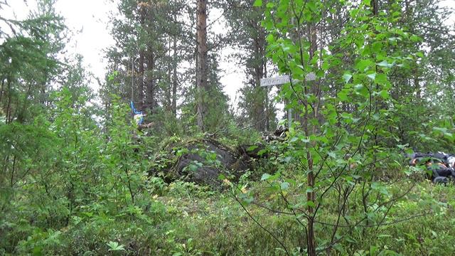 Käymäjärven kivi = Torneå Stenen = Vinsastenen смотреть онлайн