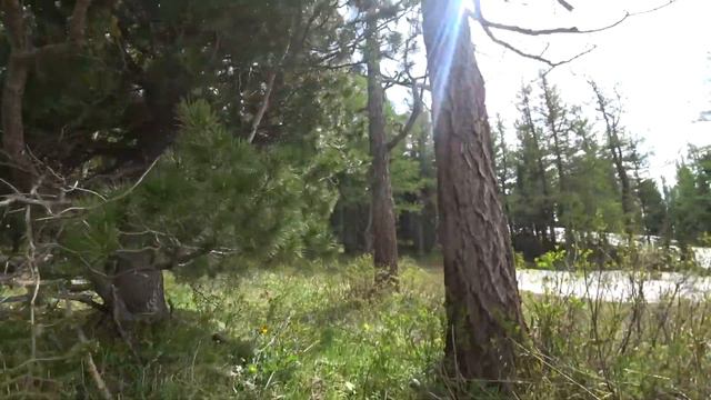 Подъем на Ивановский белок, панорама смотреть онлайн