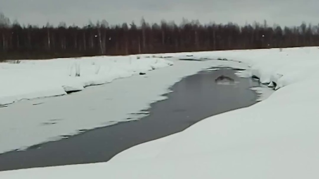 Мотособака Мужик вездеход отзыв мотобуксировщик смотреть онлайн