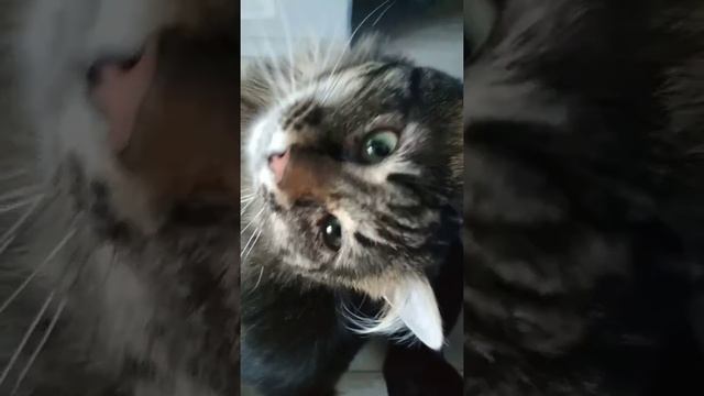 Готовим на праздник