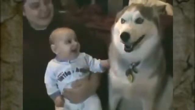 Дети и собаки. смотреть онлайн