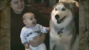 Дети и собаки.