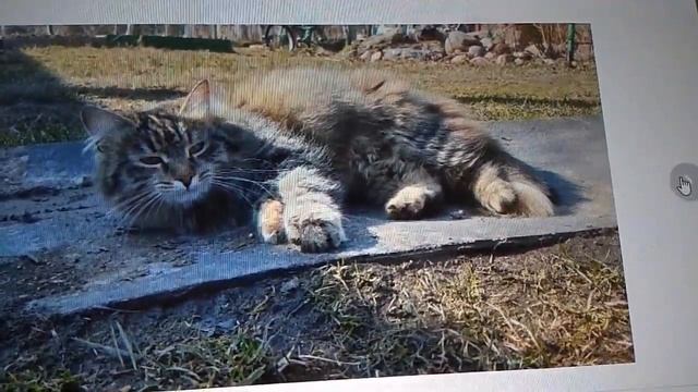 На дачу свата смотреть онлайн