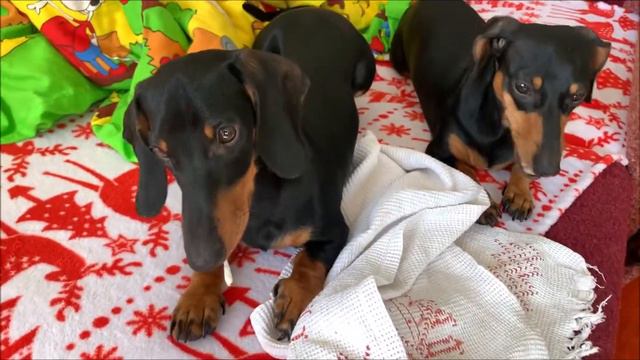 Вязаные игрушки Любимое хобби смотреть онлайн