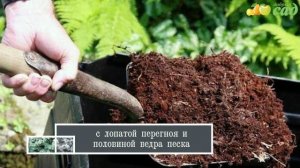 Посадка лиственницы - как правильно посадить лиственницу