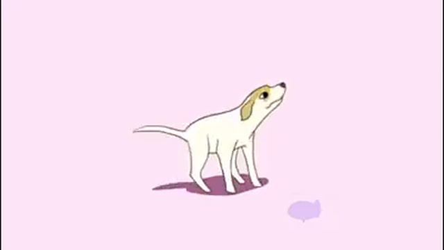 Perrito Bailando смотреть онлайн