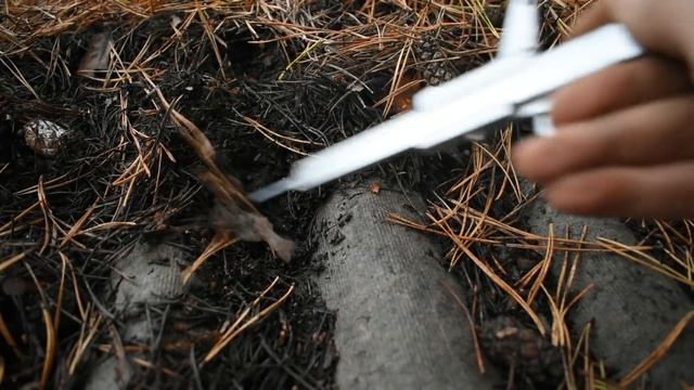 Овраги - доноры глины для городов? смотреть онлайн