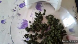 Ферментация и сушка чая из листьев яблони,вишни и смородины.