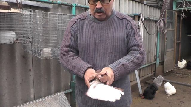 Думаю что сними нужно работать, чтоб добиться хороших успехов ? смотреть онлайн