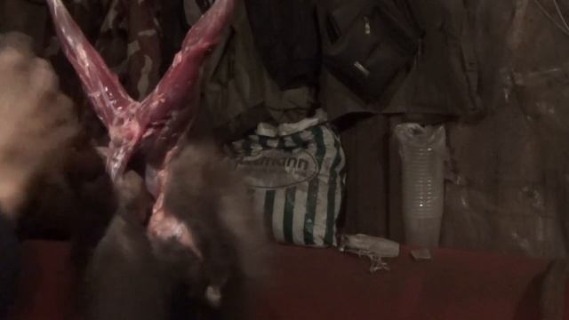 Как снять шкуру с хвоста куницы. смотреть онлайн