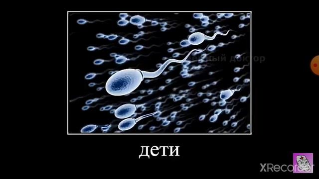 Училка забыла выключить микрофон на уроке смотреть онлайн