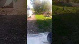 Обзор лодки скифф 270