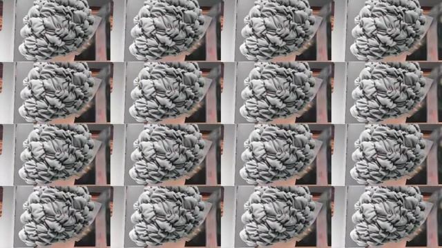 Поездка в Новосибирск и как я отметила Новый Год!