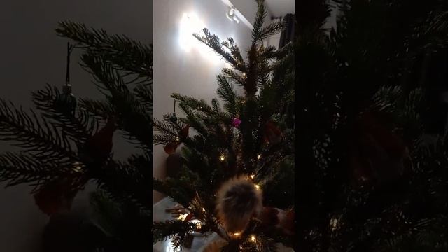 Лесной олень, клип на песню, новогодняя ёлка, новый год, Рождество смотреть онлайн