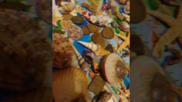 Юный блогер ? смотреть онлайн