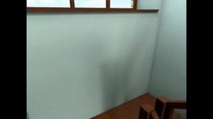 дом двухэтажный 10х12 с постирочной.