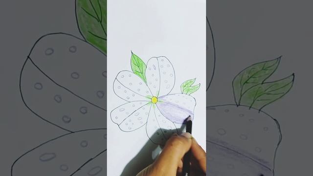 Night Sky Petunia Flower Drawing with colour pencil. смотреть онлайн