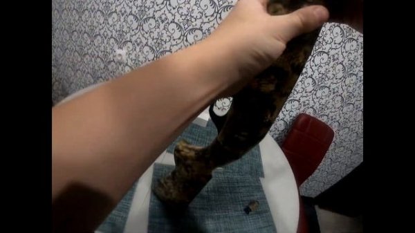 Ata arms neo 12 kryptek лучшее ружье для гусиной охоты