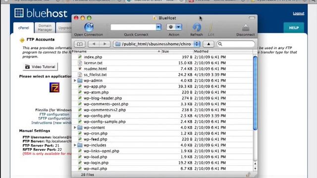 How To Upload a WordPress Theme Using an FTP Client Program смотреть онлайн