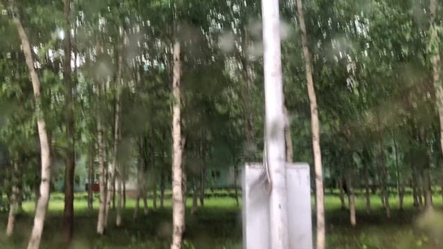 В автобусе. Сургут В 624 СВ 186, МАЗ-206.086, Маршрут № 43 смотреть онлайн