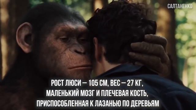 Господь создал человека а не обезьяне) https://youtube.com/@JuStanTV?si=zXspVzpjTAVIcsJT смотреть онлайн