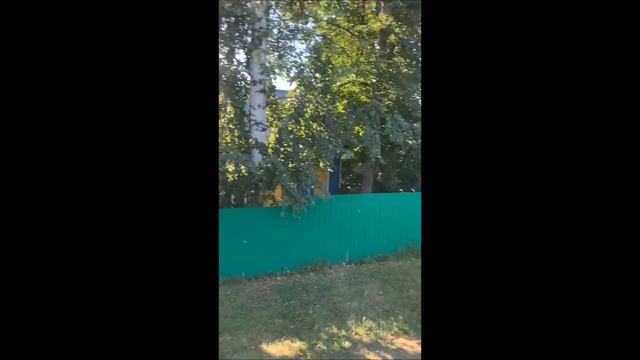 Около спортивные зарисовки смотреть онлайн