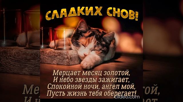 Желаю спокойной, доброй ночи и прекрасных, чудесных снов, чтобы ты проснулся хорошо отдохнувшим ? смотреть онлайн