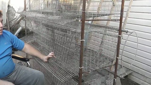 клетка для кур несушек (обзор) смотреть онлайн