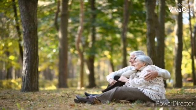 Стихи О Любви "Позднее Счастье"-Автор Андрей Дементьев Любимые Стихи смотреть онлайн