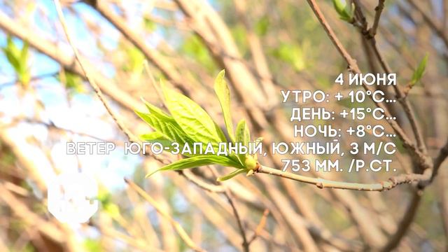Погода на 3,4,5 июня. смотреть онлайн