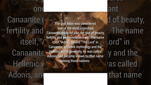 Episode 1 : #Adonis #mythology #greekgodsandgoddesses смотреть онлайн
