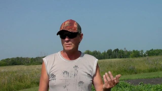 Обрезка арбузов и дынь! Канада смотреть онлайн