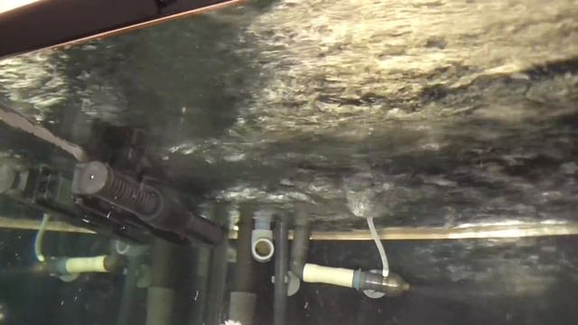 Установка и запуск Jebao CP-25 смотреть онлайн