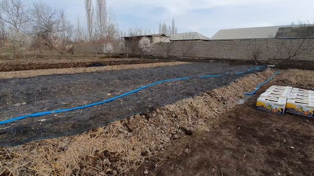 6 OYDA NEXIA 3 PULINI TOPSA BO'LADI смотреть онлайн