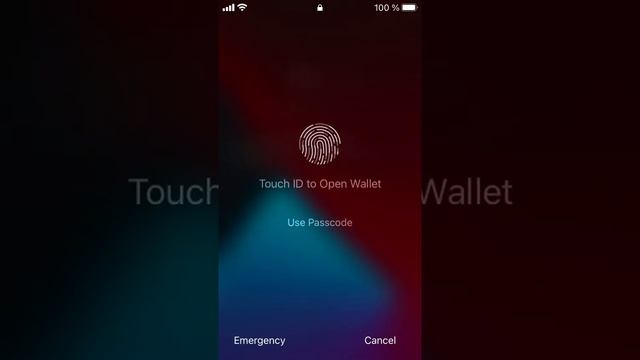 miTT Wallet PUSH - How does it work to send push messages from a Joomla! website to an iOS device. смотреть онлайн