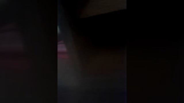 Шоу Monster квест смотреть онлайн