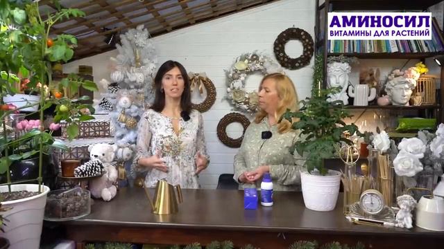 Как АМИНОСИЛ снижает нитраты? Формируйте правильный метаболизм растений! смотреть онлайн