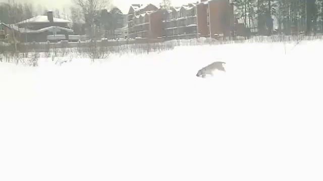 Пандус смотреть онлайн