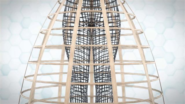 Crinoline (1859) - A Digital Reconstruction