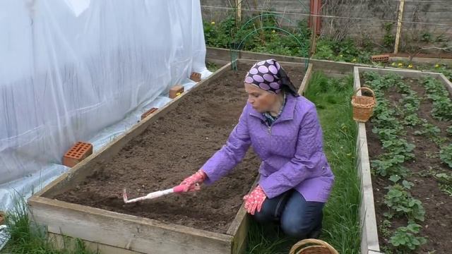 Хитрости посадки репчатого лука смотреть онлайн