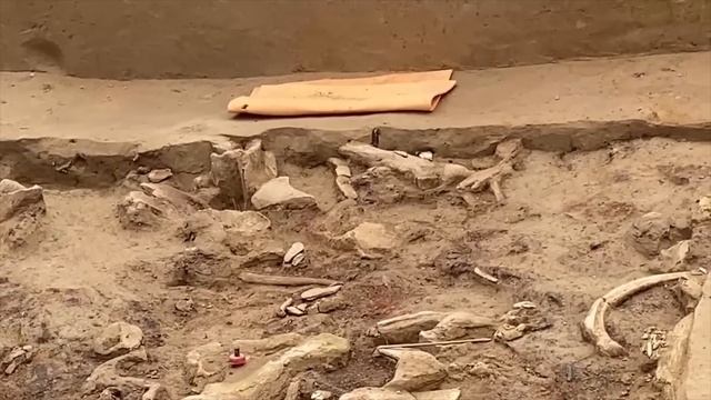 Дневник Хотылёво-2023. Серия 11. Константин Гаврилов. Находки на Хотылёво 2 смотреть онлайн