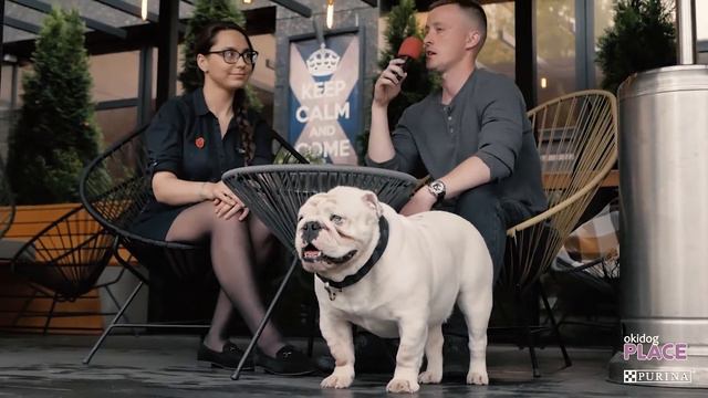 Okidog Cafe - Паб Bulldog в Гомеле