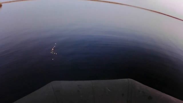 на болоте в ночь на ,,ПЯТНИЦУ 13" , пол лодки рыбы за вечер... золотистый карась.. смотреть онлайн