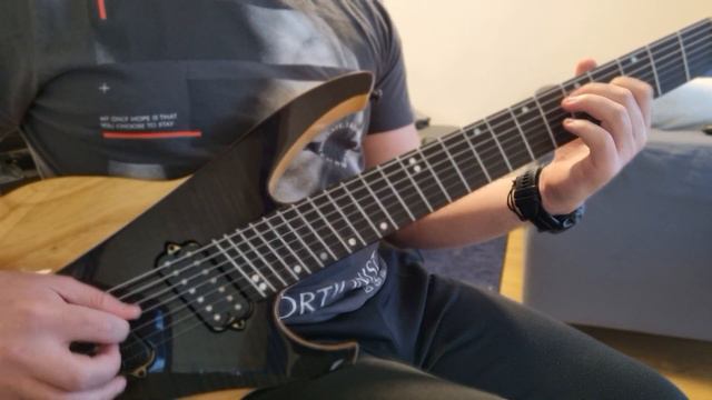 Northlane - Soma (Guitar Cover) смотреть онлайн