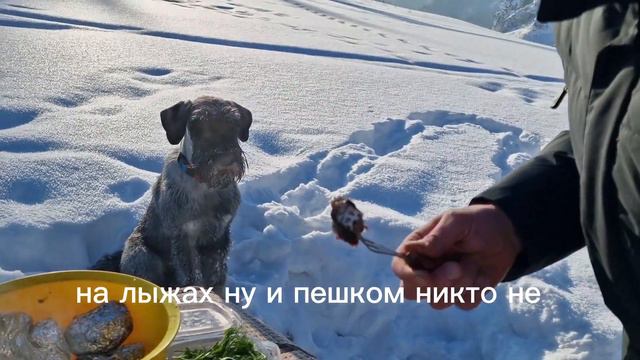 По морю по льду в залив Бирюса. Красноярск. смотреть онлайн